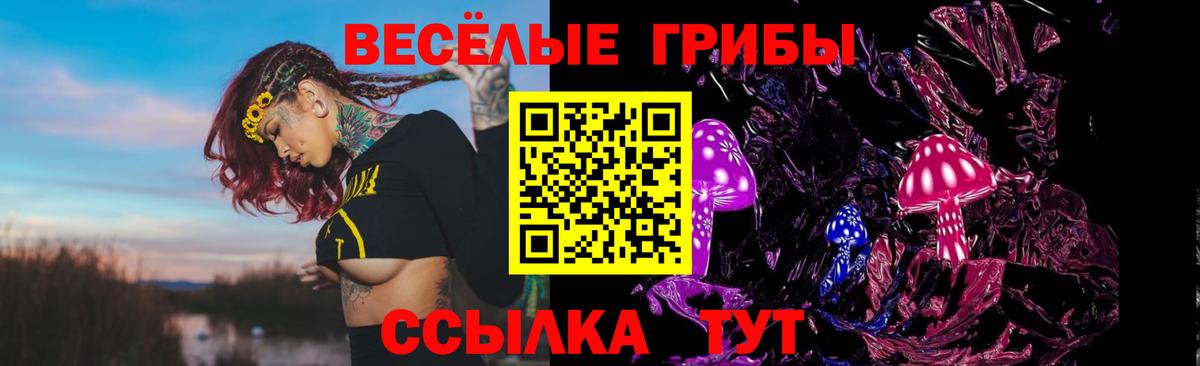 Псилоцибиновые грибы мицелий  Вход с VPN  Псилоцибиновые грибы GOLDEN TEACHER  Ипатово 